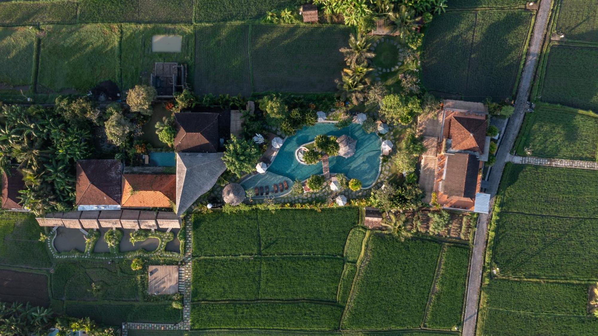 Candy Villa By Pramana Villas Ουμπούντ Εξωτερικό φωτογραφία